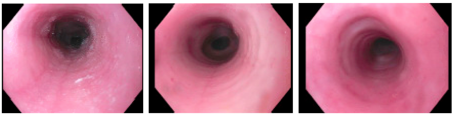 screen-shot-2021-05-19-at-9.29.03-am