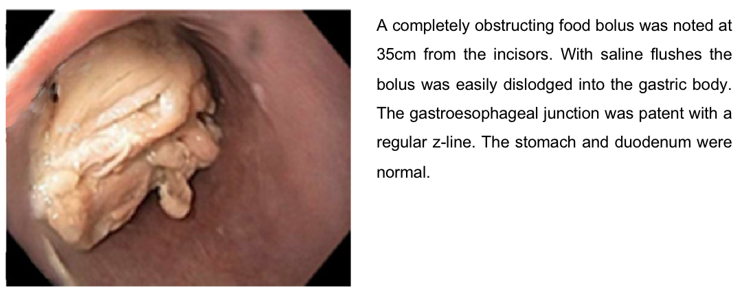 screen-shot-2021-05-19-at-9.32.49-am